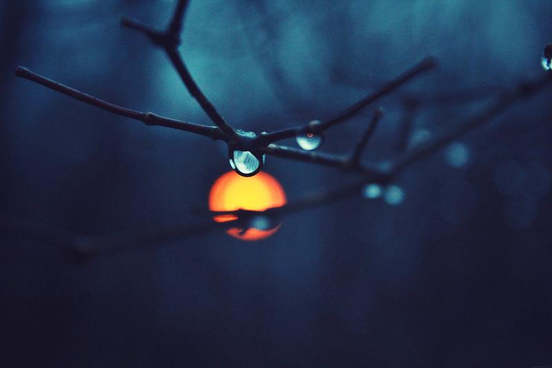 ????????????????????????????????????????????????